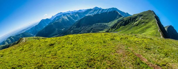 Photo panoramique des Tatras occidentales depuis le sommet de Rakon, en République slovaque. Le thème de la randonnée. Scène naturelle saisonnière. - Photo, image