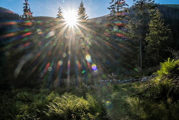 Cena do nascer do sol nas montanhas do oeste de Tatras, República Eslovaca. Tema das caminhadas. Cena natural sazonal
. - Foto, Imagem