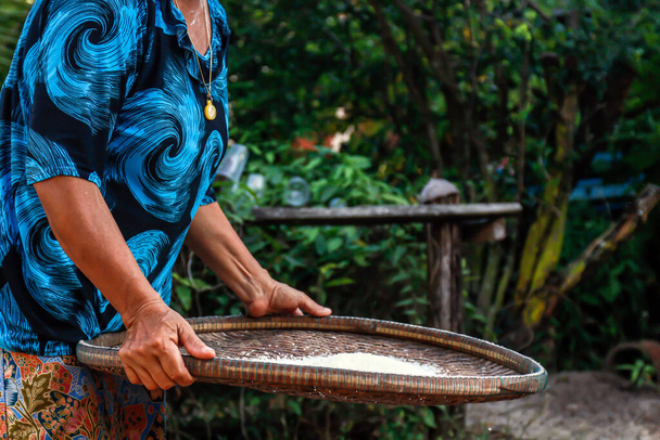 рисовое зерно с молотилкой в руках фермера, производство риса продовольственная сельская культура азиатов - Фото, изображение