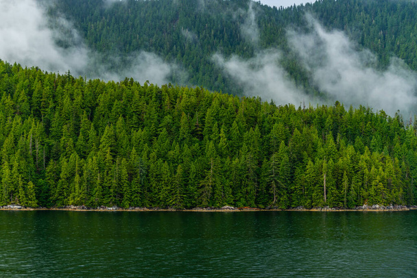 Beautiful peaceful natural scenery in British Columbia, Canada  - Φωτογραφία, εικόνα
