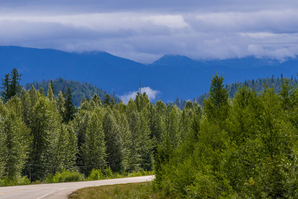 wunderschöne landschaft mit üppiger grünvegetation in alberta, kanada - Foto, Bild