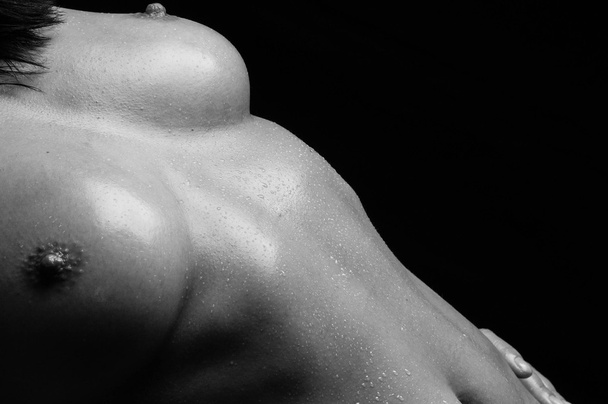 The beauty of the female body. - Foto, imagen