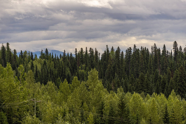 Piękny widok na park narodowy Banff, Alberta, Kanada - Zdjęcie, obraz