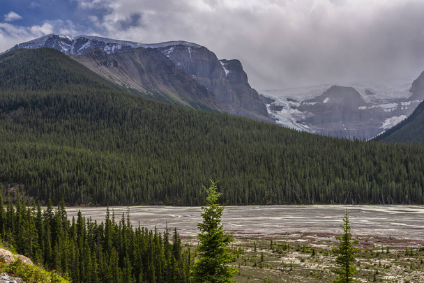 majestátní přírodní scenérie s horskou řekou v Albertě, Kanada - Fotografie, Obrázek