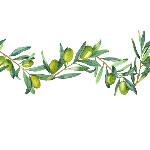 Seamless border with green olive branches on white background. Hand drawn watercolor illustration. - Foto, afbeelding