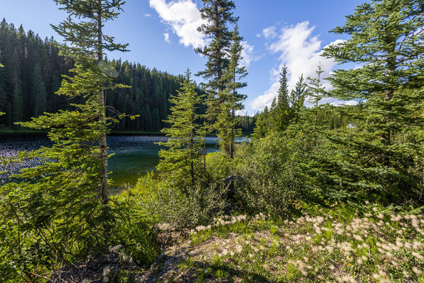 Природный пейзаж в Национальном парке Банф, Канада - Фото, изображение