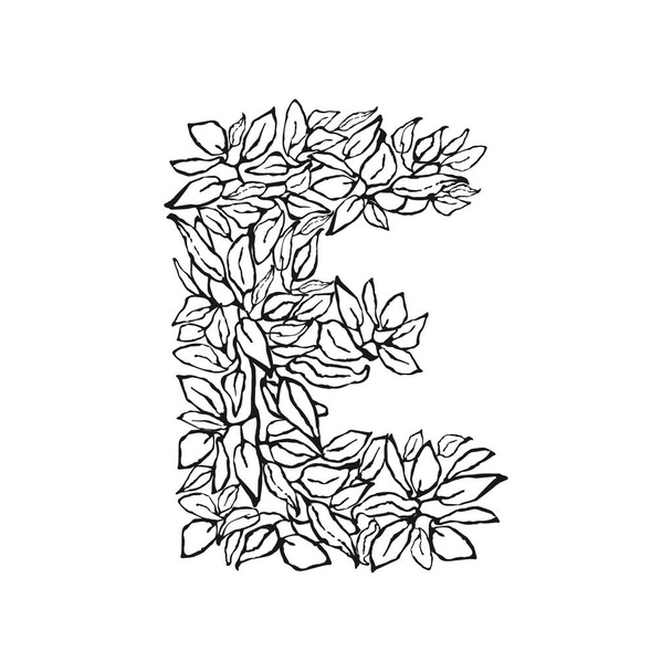Illustrazione floreale in bianco e nero della lettera E disegnata a mano - Vettoriali, immagini
