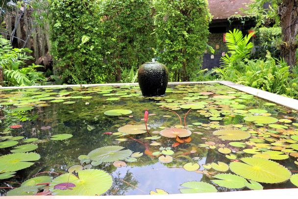 Tropisch park design, fontein en vijver met waterval - Foto, afbeelding