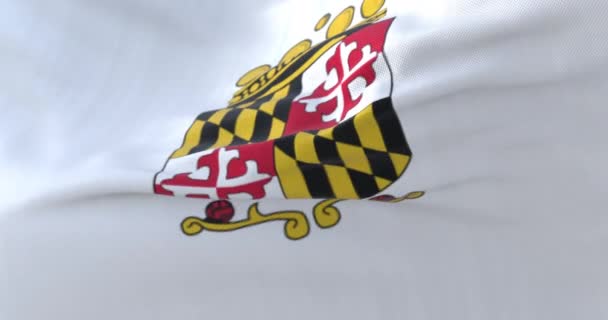 Flagge von Anne Arundel County, Bundesstaat Maryland, Vereinigte Staaten - Schleife - Filmmaterial, Video
