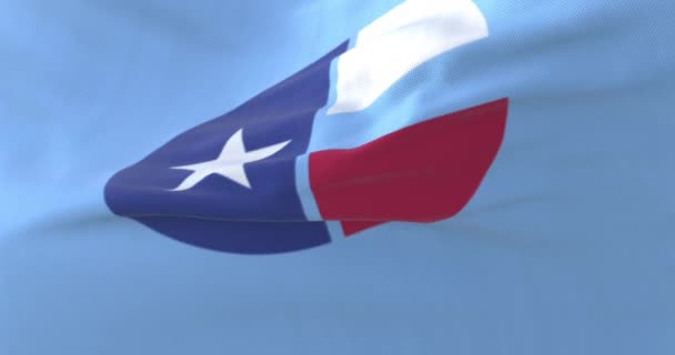 Bandera del condado de Collin, estado de Texas, Estados Unidos - lazo - Metraje, vídeo