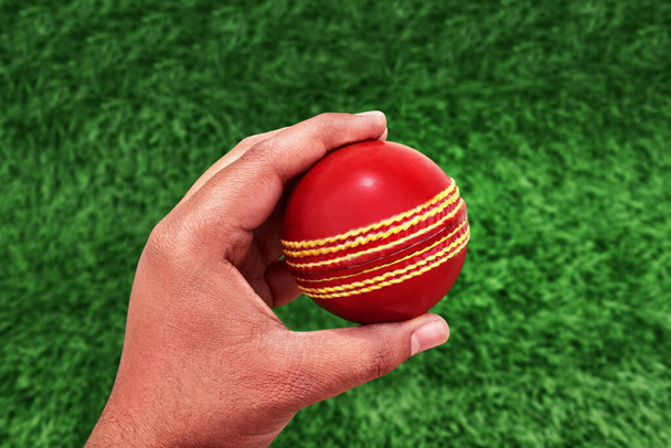 Bola de críquete na mão, bola vermelha do esporte do críquete
 - Foto, Imagem