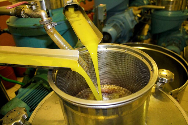 Proces extrakce extra panenského olivového oleje v lisovně olivového oleje v Řecku. - Fotografie, Obrázek