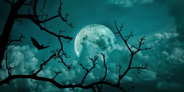 Хеллоуїн тло. Дике лісове мертве дерево з повним місячним небом
. - Фото, зображення