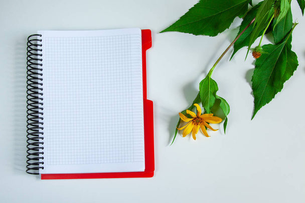 Yellow flower with green leaves on a white background. Blank notepad mockup. Spring concept with copy space. - 写真・画像