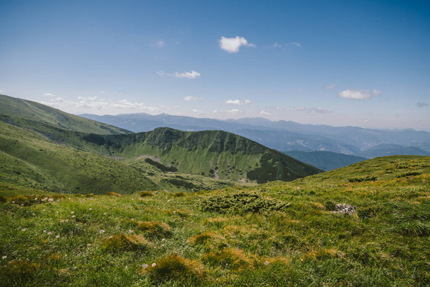 um grande campo verde com uma montanha no fundo - Foto, Imagem