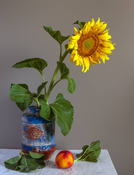 Still life with blooming sunflower and nectarine. Vintage. Minimalism. - Foto, Imagen