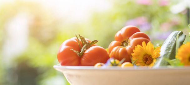 Verdure fresche colorate in una ciotola, allevate nel proprio orto. Pomodori, zucchine, fiori ed erbe aromatiche. - Foto, immagini