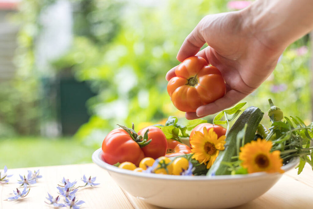 Fresh colorful vegetables in a bowl, raised in the own garden. Tomatoes, zucchini, flowers and herbs. - Valokuva, kuva