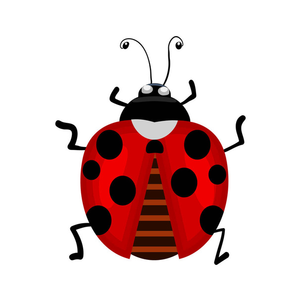 Ladybird isolated on white background. Ladybug small icon. Red lady bug sign. Top view of cartoon black and red insect lady beetle. Symbol of nature, spring, summer. Flat graphic style. Stock vector illustration - Vector, Image