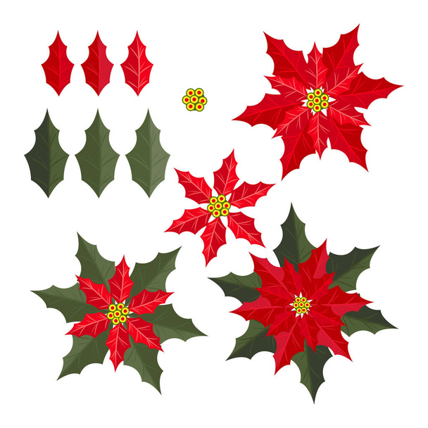 Christmas elements of set of red Poinsettia Christmas flowers with leaves isolated on white background. Simple Christmas elements. Design for winter holidays greeting season. Vector illustration. - Vector, Image