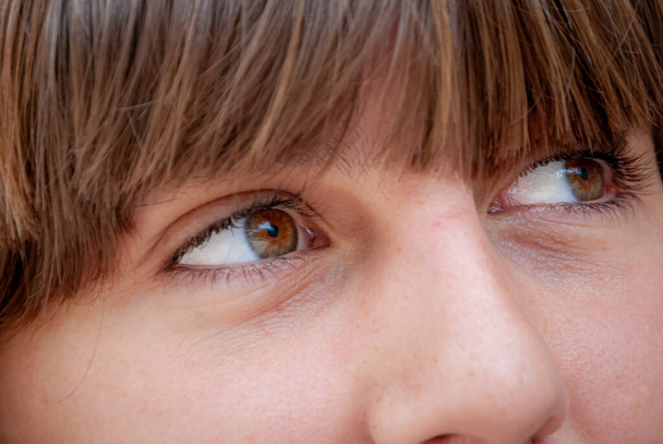 Крупный план портрета коричневых глаз молодой женщины - Фото, изображение