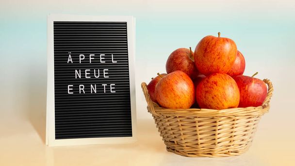 Ripe bright red-orange apples in wicker basket with handles on right and white words in german Apfel neue Ernte meaning Apples new harvest on letter board on yellow-blue backdrop,natural light - Photo, Image