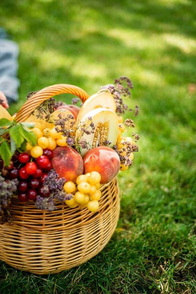 Basket of fresh organic fruits in the garden. High quality photo - Valokuva, kuva