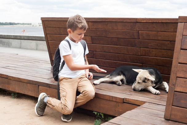 Chlapec evropského vzhledu sedí na lavičce vedle toulavého psa a krmí ho rukou. - Fotografie, Obrázek