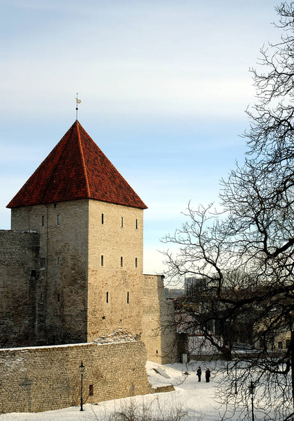 The Maiden Tower or Neitsitorn is a tower that forms part of the fortifications of Tallinn in Estonia. It forms part of the city wall surrounding Tallinn old town. - Zdjęcie, obraz