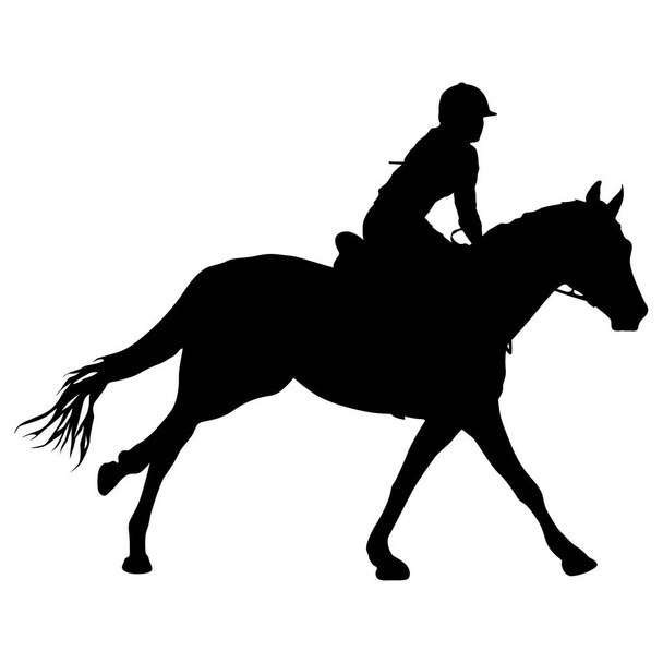 Silhouette de cheval et jockey sur fond blanc. - Vecteur, image