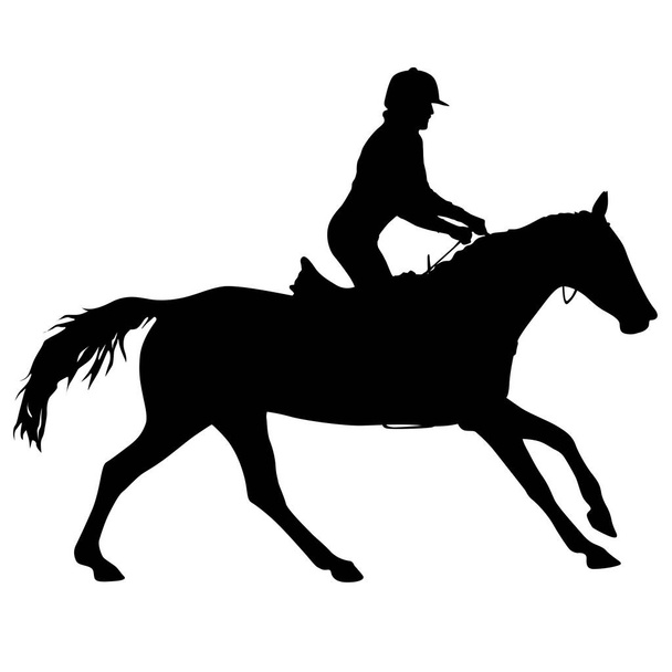 Silhouette of horse and jockey on white background. - Vector, Image