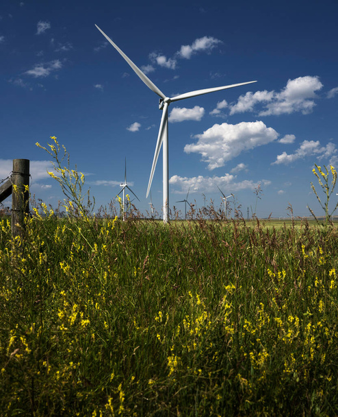Green energy from windmills produced on a wind farm in Pincher Creek Alberta Canada. - Photo, Image