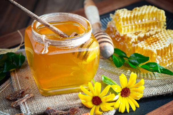 The honey flows slowly from the stick onto the honeycomb. - Foto, Imagen