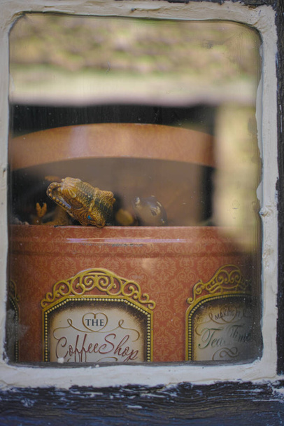 Lastik ve eski bir şeker kutusundaki eski bir oyuncak eski küçük bir köyün tuhaf bir penceresinin arkasına yerleştirilmiş. - Fotoğraf, Görsel