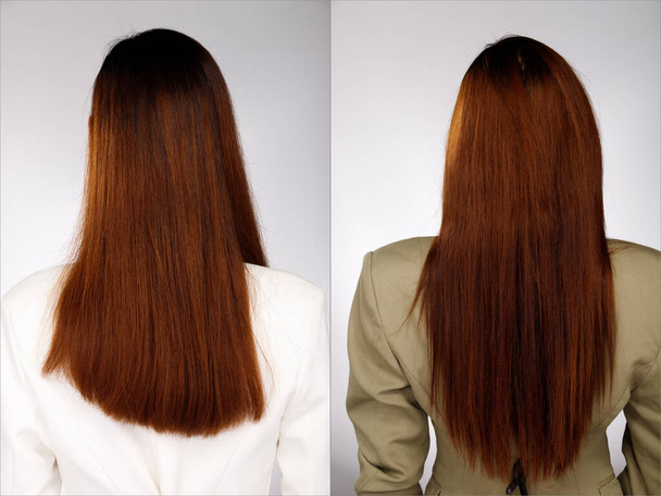 Half Body Portrait of 20s Asiatique Femme cheveux longs face arrière vue arrière, pour montrer la ligne d'avant après style de cheveux sur fond gris blanc isolé - Photo, image