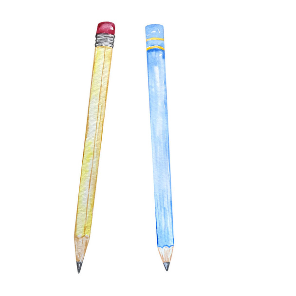 watercolor illustration two pencils  - Photo, Image