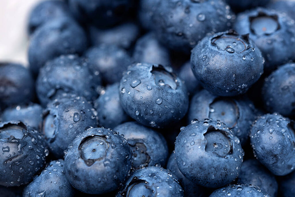 Blueberry macro background. Fresh harvest berry with dew drops closeup. - Photo, Image