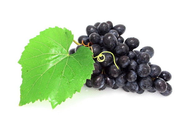 Racimo de uva azul
 - Foto, Imagen