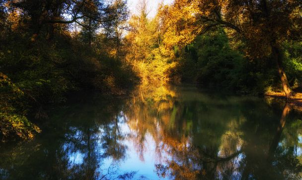trees reflected in calm river during autumn - Photo, Image