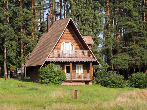 Дом в сосновом лесу - Фото, изображение