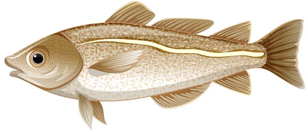 Pojedyncze ryby dorsza na białym tle ilustracja - Wektor, obraz