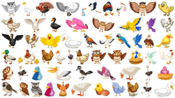 Conjunto de diferentes aves estilo cartoon isolado no fundo branco ilustração - Vetor, Imagem