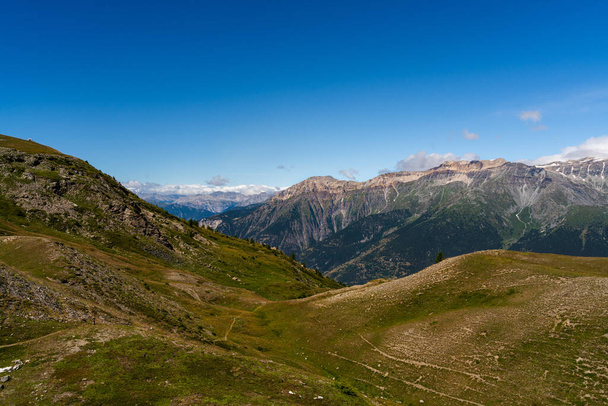 A closeup shot of the Natural Park Grand Del Bosco Di Salbertrand Montagne Italy - Foto, afbeelding