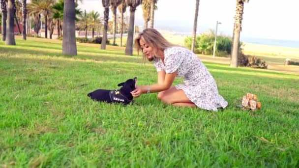Small dog named Artur with owner relaxing on the grass - Materiaali, video