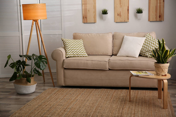 Modern living room interior with stylish comfortable sofa - Fotografie, Obrázek
