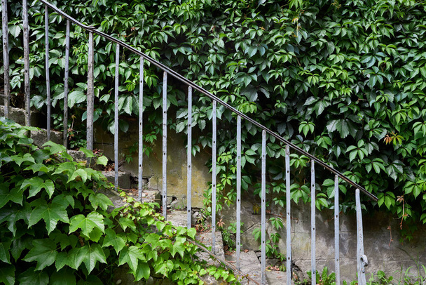 Зеленый летний парк, спуск по старой железной лестнице - Фото, изображение