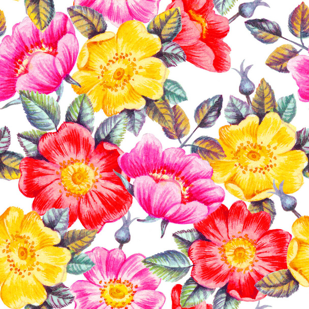 Watercolor hand paint dog rose flowers seamless pattern, template for textile, wallpaper, wrapping paper. - Photo, Image
