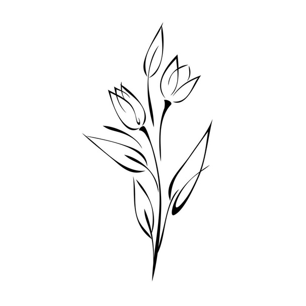 two stylized flower buds on stems with pointed leaves in black lines on a white background - Vektör, Görsel