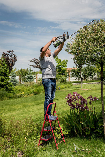A gardener trimming trees with hedge trimmer - Foto, Bild