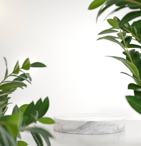 緑の植物で製品を表示するためのナチュラルホワイトプラットフォームステージブランク｜3Dレンダリング - 写真・画像